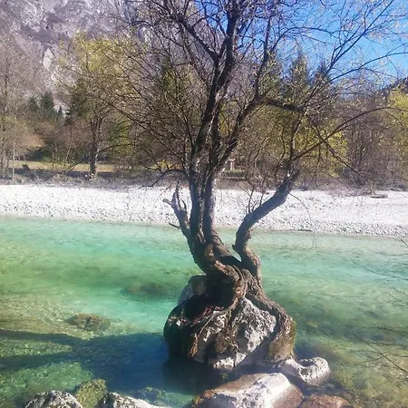 Apartma Kukc Bovec * Kal-Koritnica